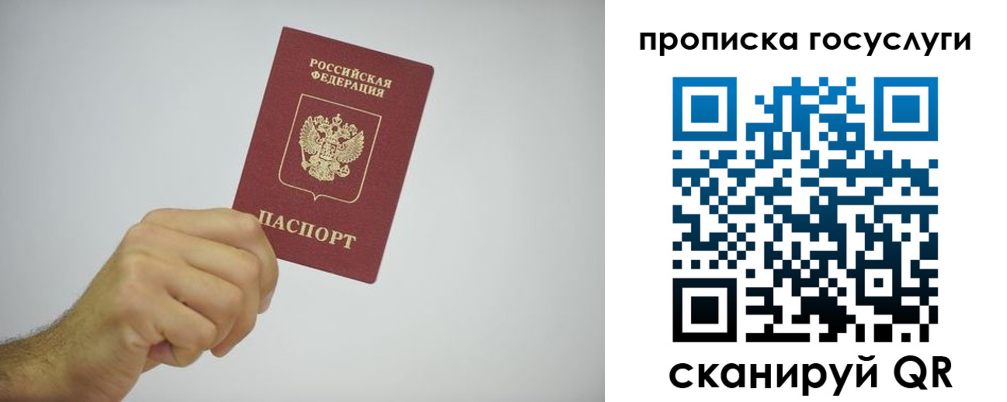 прописка законно в Шебекино